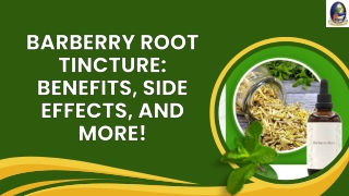 Barberry Root Tincture Benefits, Side Effects, and More!