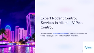 Expert Rodent Control Services in Miami – V Pest Control