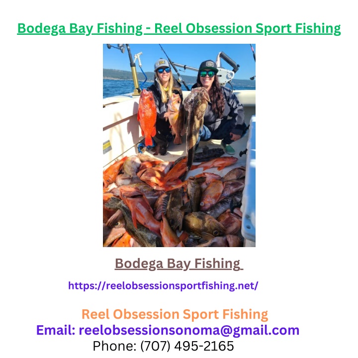 bodega bay fishing reel obsession sport fishing