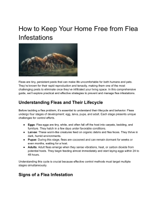 how to keep your home free from flea infestations