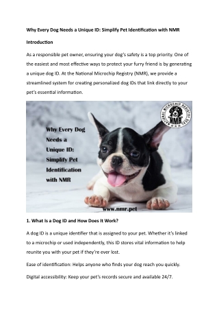 why every dog needs a unique id simplify