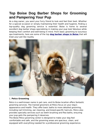 Top Boise Dog Barber Shops for Grooming and Pampering Your Pup