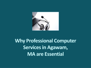 why professional computer services in agawam ma are essential