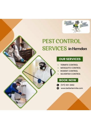 Tick Treatment Services by Better Termite & Pest Control Services in Arlington