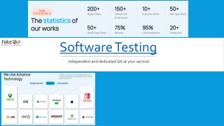 software testing