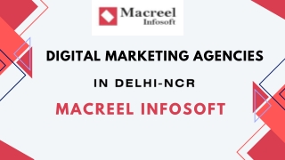 Digital Marketing Agencies & Companies in Delhi-NCR