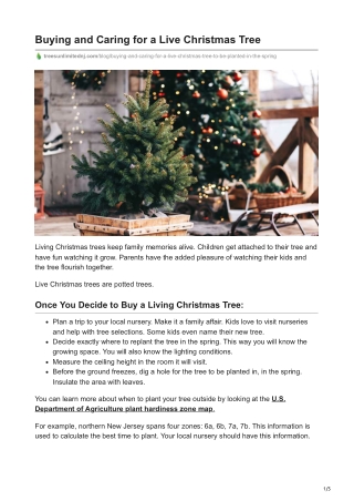 Buying and Caring for a Live Christmas Tree
