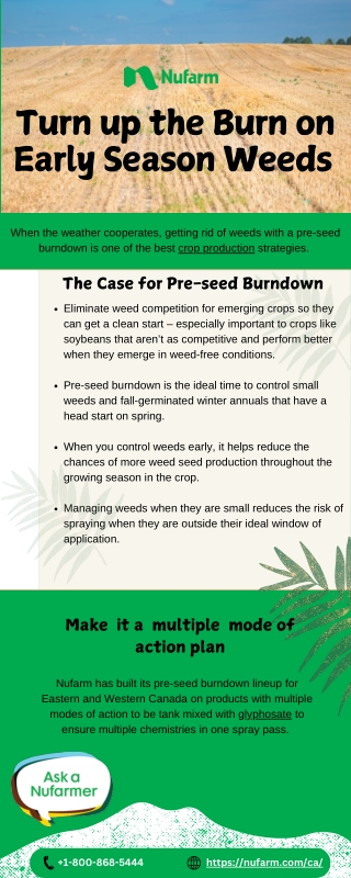 Turn up the Burn on Early Season Weeds | Nufarm Canada