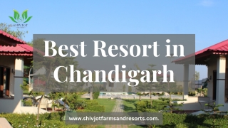 Best Resort in Chandigarh