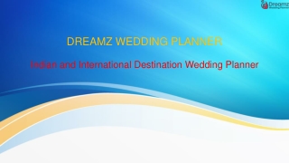 DREAMZ WEDDING PLANNER - WEDDING PLANNER IN GOA 11