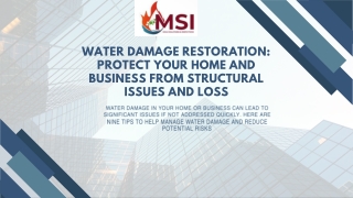 Water Damage Restoration Protect Your Home and Business from Structural Issues and Loss