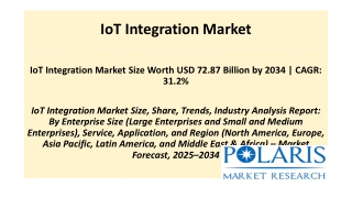 IoT Integration Market.pptx