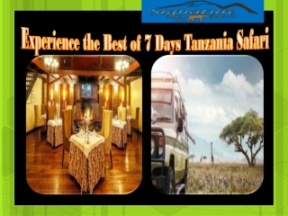Experience the Best of 7 Days Tanzania Safari