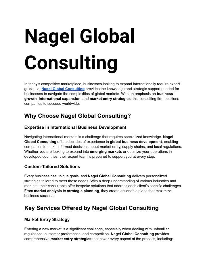 nagel global consulting