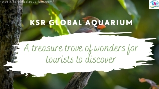 A treasure trove of wonders for tourists to discover