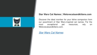 star wars cat names welovecatsandkittens