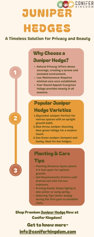 Low-Maintenance Beauty: Juniper Hedges
