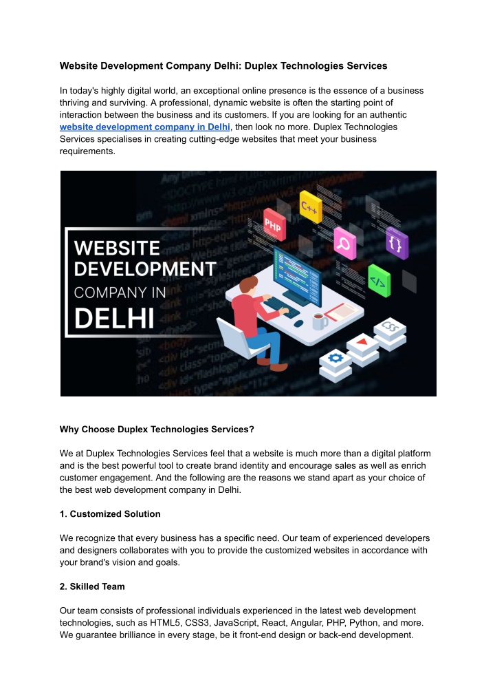 website development company delhi duplex