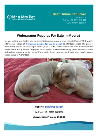best online pet store