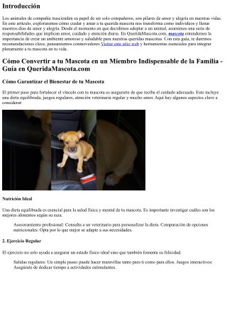 La Importancia del Cuidado para que tu Mascota se Sienta en Familia