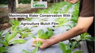 Maximizing Water Conservation With Agriculture Mulch Film