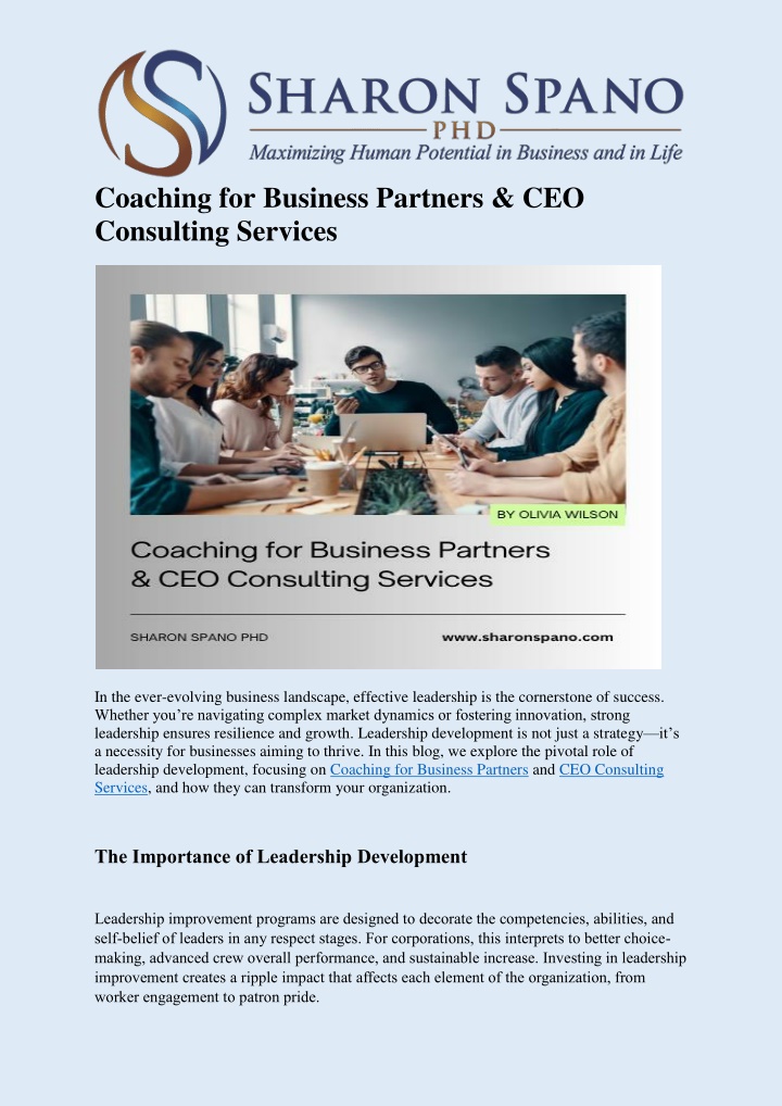 coaching for business partners ceo consulting