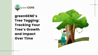 greenGENE’s Tree Tagging Tracking Your Tree’s Growth and Impact Over Time