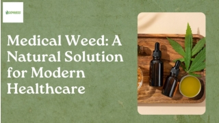 Medical Weed  A Natural Solution for Modern Healthcare