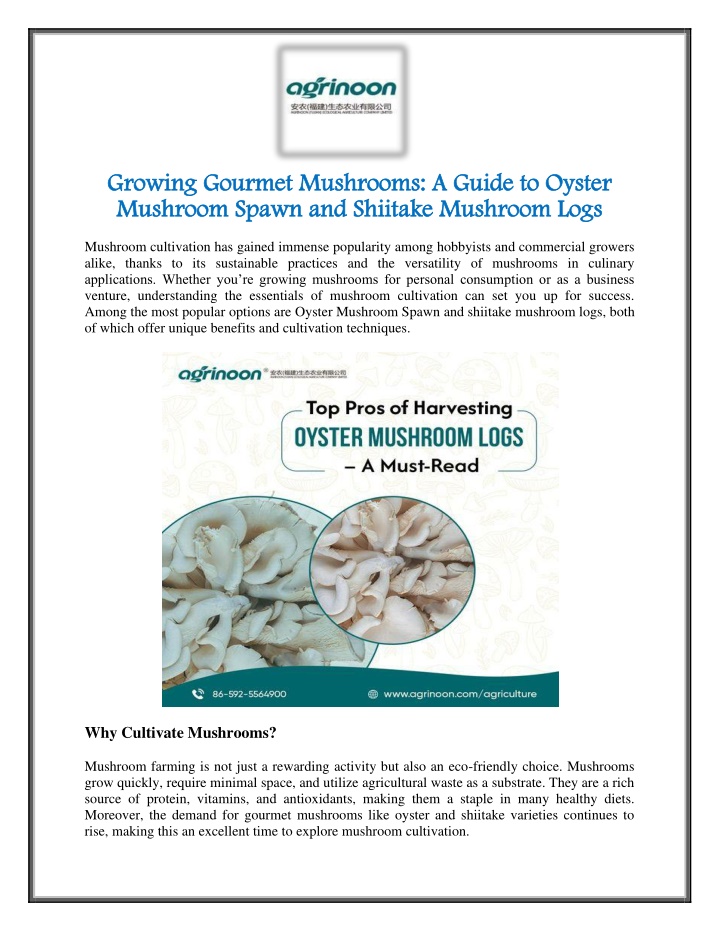 growing gourmet mushrooms a guide to oyster