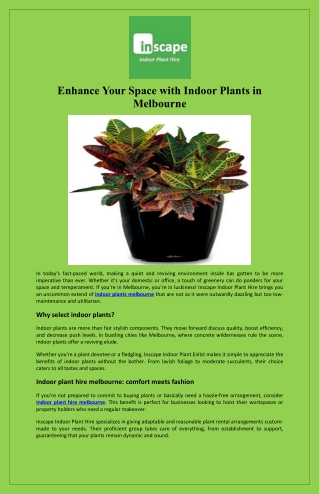 Enhance Your Space with Indoor Plants in Melbourne