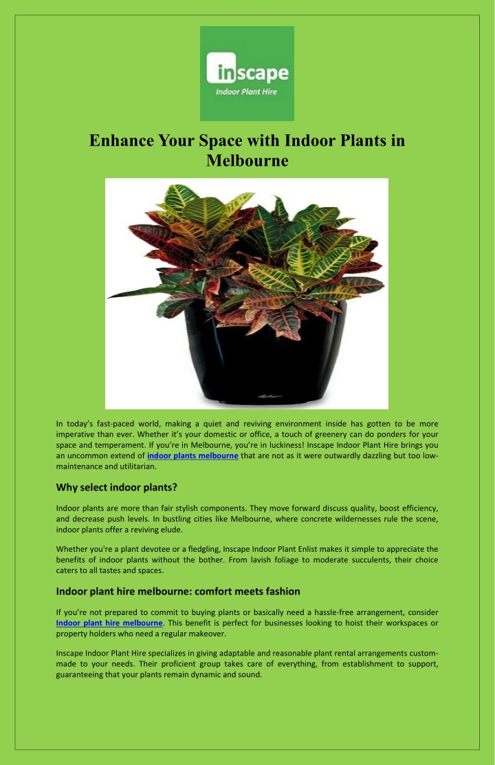 enhance your space with indoor plants in melbourne