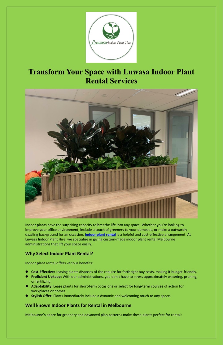 transform your space with luwasa indoor plant