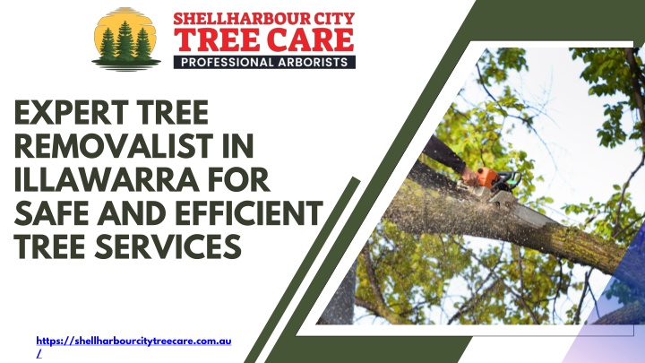 expert tree removalist in illawarra for safe