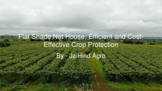flat shade net house efficient and cost effective crop protection