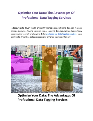 Optimize Your Data: The Advantages Of Professional Data Tagging Services