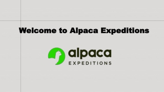 welcome to alpaca expeditions