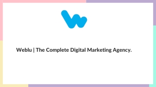 weblu the complete digital marketing agency