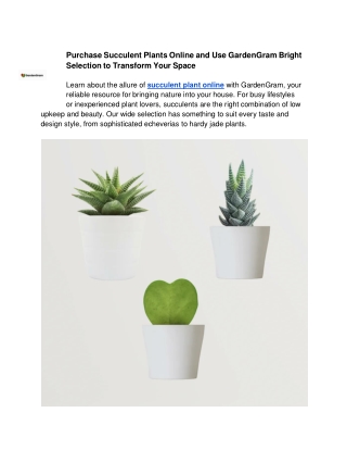Purchase Succulent Plants Online and Use GardenGram Bright Selection to Transform Your Space