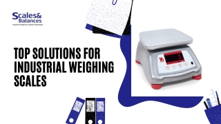 Top Solutions for Industrial Weighing Scales