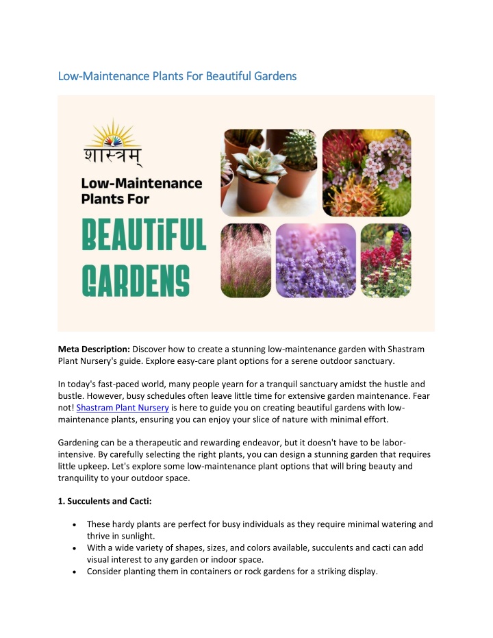 low low maintenance plants for beautiful gardens