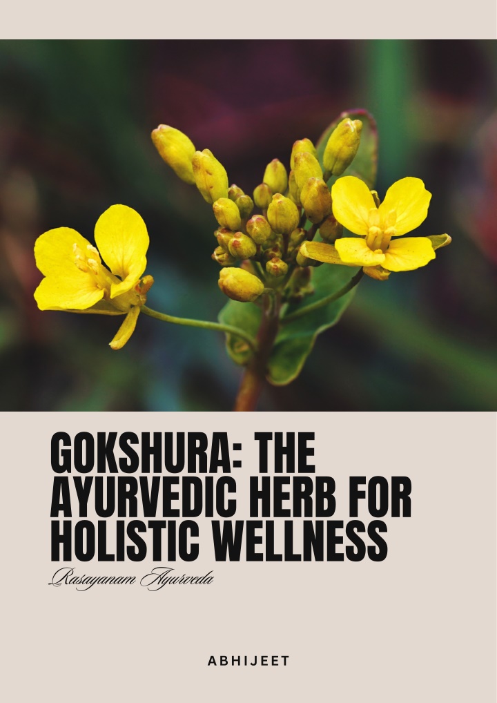 gokshura the ayurvedic herb for holistic wellness