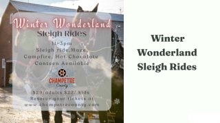 Winter Wonderland Sleigh Rides - Magical Experience