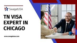 Why Do You Need A TN Visa Expert in Chicago?