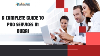 A Complete Guide To PRO Services In Dubai