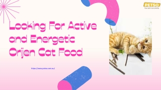 Looking For Active and Energetic Orijen Cat Food