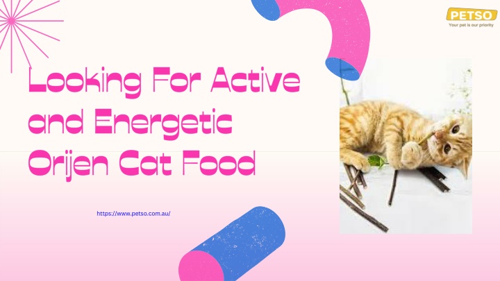 looking for active and energetic orijen cat food