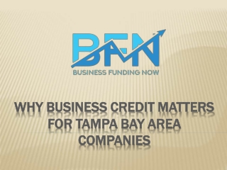 Why Business Credit Matters for Tampa Bay Area Companies