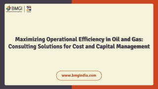 Maximizing Operational Efficiency in Oil and Gas Consulting Solutions for Cost and Capital Management