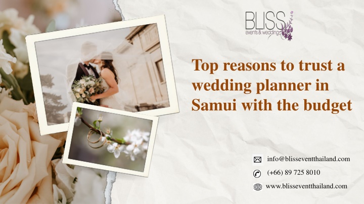 top reasons to trust a wedding planner in samui