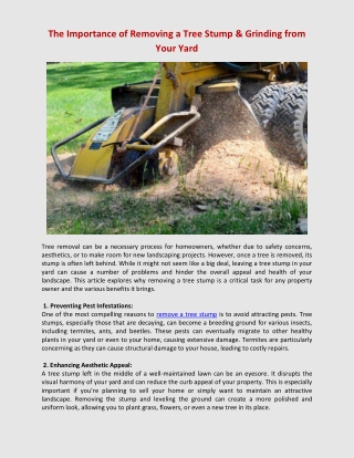 The Importance of Removing a Tree Stump & Grinding from Your Yard